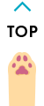 先頭へ戻る